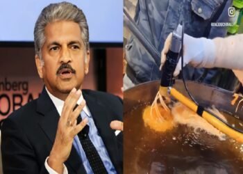 Jalebi Innovation: Anand Mahindra Sparks Debate with 3D Printed Delicacy