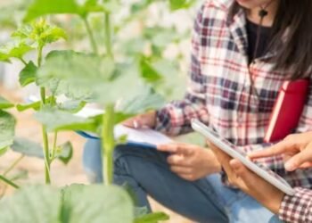 IGNOU Cultivates Opportunities: Online Agriculture Programs Open for Application