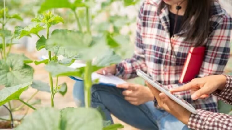 IGNOU Cultivates Opportunities: Online Agriculture Programs Open for Application