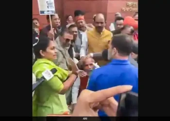 Police Case Registered Against Rahul Gandhi For “Injuring” 2 BJP MPs