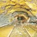 Andhra Pradesh to Host India’s First Large Private Gold Mine, Says SBI Report