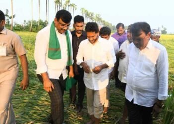 YS Jagan Visits Cyclone-Affected Areas in Krishna District, Assures Support to Farmers