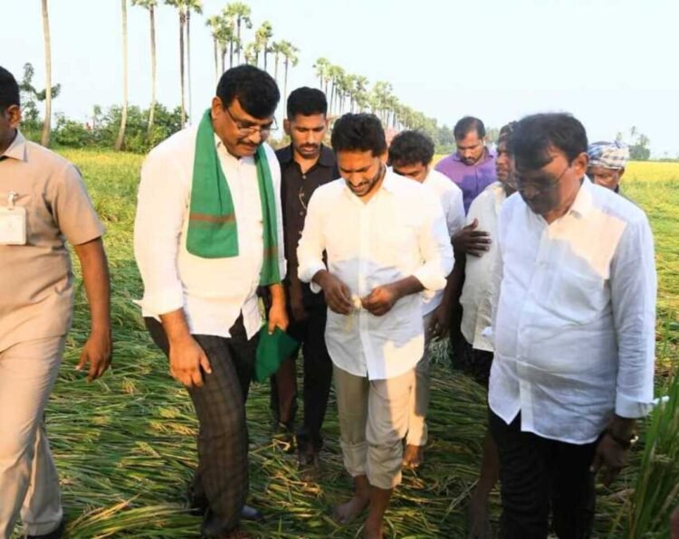 YS Jagan Visits Cyclone-Affected Areas in Krishna District, Assures Support to Farmers