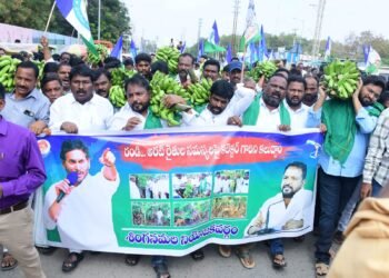 Andhra Pradesh Banana Farmers Face Steep Crisis; Analysis of Support Framework Under YS Jagan Mohan Reddy